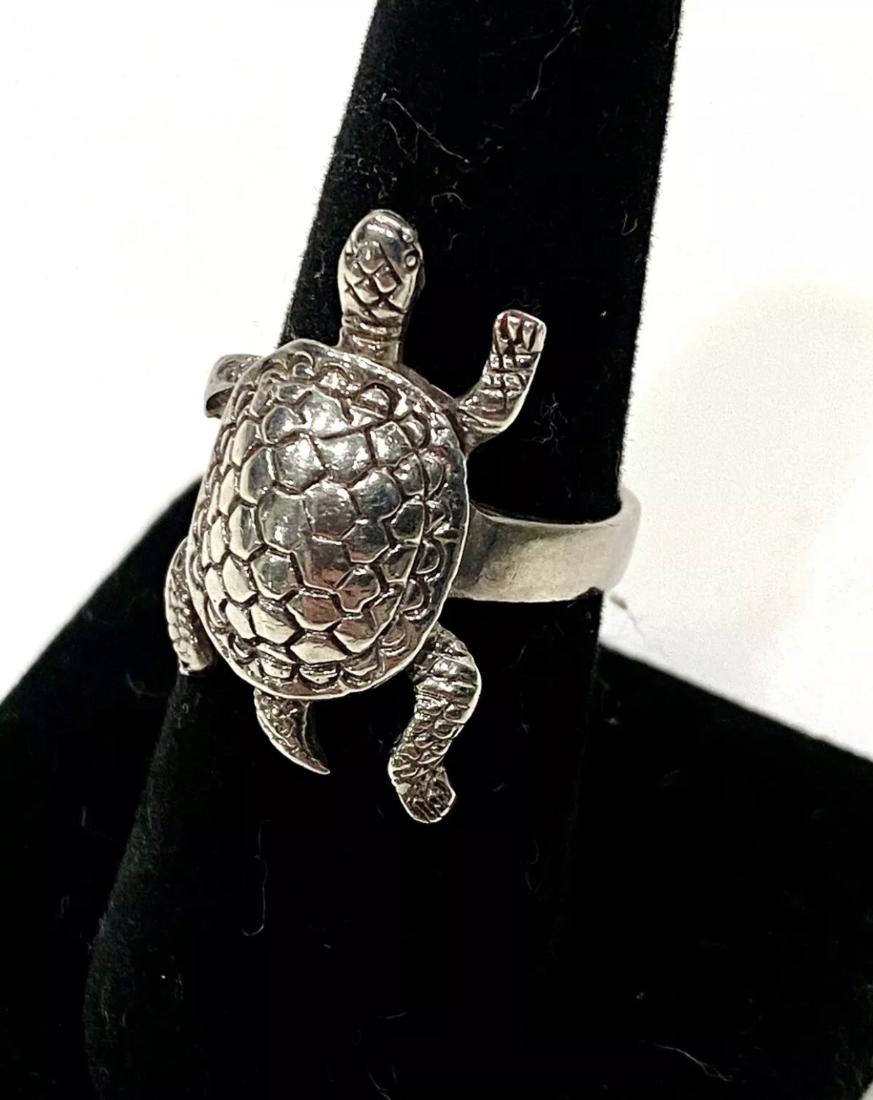 Buy silver white and red stone turtle ring at Amazon.in